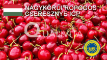 Nagykörűi Ropogós Cseresznye IGP - Ungheria