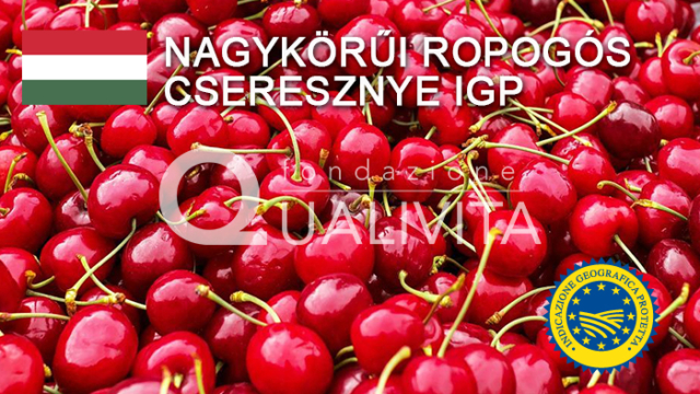 Nagykörűi Ropogós Cseresznye IGP