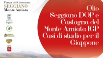 (Seggiano) Convegno “Olio Seggiano DOP e Castagna del Monte Amiata IGP casi studio per il Giappone”