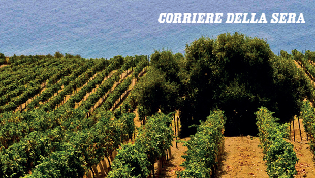 sicilia DOP