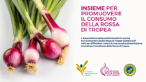 Intesa tra nutrizionisti e Consorzio Cipolla Rossa di Tropea sulle proprietà salutistiche del prodotto IGP