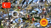 Edremit Zeytinyağı DOP - Turchia