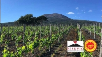 Il Consorzio Tutela Vini Vesuvio protagonista degli eventi di maggio dedicati al vino italiano