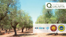 Agroqualità autorizzata ai controlli sulla filiera dell’Olio di Puglia IGP