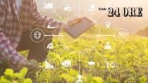 Dati, sensori e blockchain nel piatto: anche il cibo entra nell’era digitale