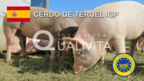 Cerdo de Teruel IGP - Spagna