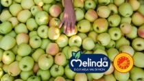 Consorzio Melinda e il Trentino protagonisti a Fruit Attraction