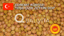 Edremit Körfezi Yeşil Çizik Zeytini DOP - Turchia