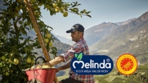 Turismo DOP, il tour tra i meleti della Val di Non è la nuova tendenza autunnale
