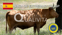 Vaca de Extremadura IGP - Spagna