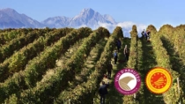 L’Abruzzo porta a Vinitaly il racconto delle sue sottozone