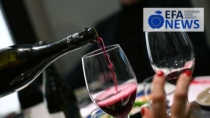 Terre del Lambrusco candidate a Wine Region of the Year