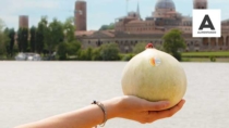 Consorzio Melone Mantovano IGP: “Superate le 9mila tonnellate di prodotto commercializzato”