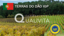 Terras do Dão IGP - Portogallo