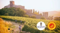 Appuntamento Soave: l’evoluzione del presente