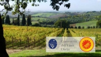 Orcia DOP: a Vinitaly il vino più “bello” del mondo