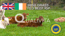 Irish Grass Fed Beef IGP - Irlanda e Regno Unito