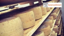 La lavorazione tradizionale su ripiani in legno dei formaggi DOP e IGP influenza la qualità finale del prodotto