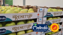 Melinda lancia la campagna Renetta, la mela salutare e "gourmet"
