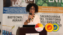 (Catania) Distretto Agrumi di Sicilia: assemblea per organizzazione territoriale della filiera