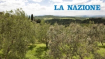 Italian sounding e dazi: vino e olio tra i più colpiti dalle pratiche scorrette