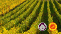Il Consorzio Tutela Lambrusco a Sicilia in Bolle