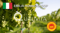 Emilia-Romagna DOP - Italia