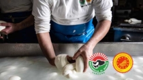 Sciopero dei trasporti, bloccata la produzione di Mozzarella di Bufala Campana DOP