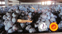 Consorzio Valpolicella: messa a riposo delle uve candidata Patrimonio UNESCO