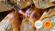 [Langhirano] Il Festival del Prosciutto di Parma torna dal 6 all’8 settembre