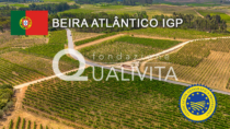 Beira Atlântico IGP - Portogallo