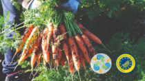Il Consorzio della Carota Novella di Ispica IGP presente a “TUTTOFOOD 2026”