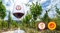 Il Consorzio vini Carmignano chiede il riconoscimento ministeriale