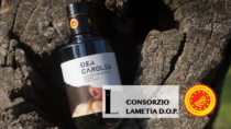 Lametia DOP - Olio EVO, il Consorzio lancia il brand unico "Dea Carolea"