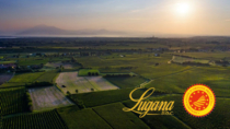 A Vinitaly è "Lugana mania", crescita di valore del +16,6% nel mercato interno