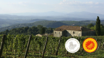 Il Montecucco guarda a Vinitaly 2026 con ottimismo