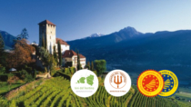 Consorzio Vini del Trentino a Vinitaly 2024: incontri B2B e degustazioni