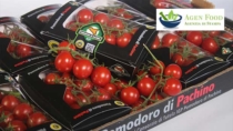 Costi di produzione fuori controllo: l’appello del Consorzio IGP Pomodoro di Pachino al Governo