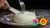 Mozzarella di Bufala Campana DOP, a Cibus in abbinamento con vini italiani