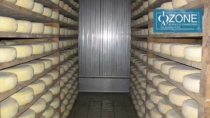 Toma Piemontese DOP: controllo della crescita microbica ed effetti sulla qualità