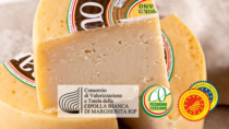 Pecorino Toscano DOP e Cipolla Bianca di Margherita IGP: nasce un connubio d’eccellenza