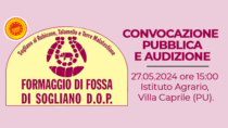 (Pesaro) Formaggio di Fossa di Sogliano DOP, convocata la pubblica audizione per la modifica del disciplinare