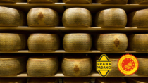 Grana Padano DOP: produzione a +4,99% nel primo bimestre