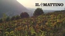Al via "Gragnano da bere": due giorni dedicati ai vini Penisola Sorrentina DOP
