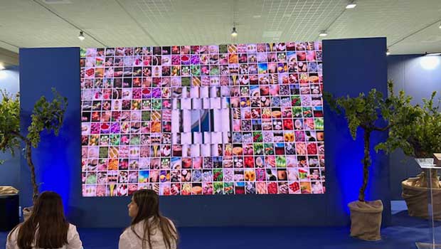 G7 Italia, presentazione del Qualivita Atlas 2024