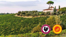 Le Ville-fattoria del Chianti Classico DOP: un altro passo verso il riconoscimento Unesco