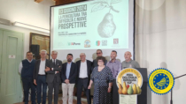 Consorzio della Pera dell’Emilia Romagna IGP, spunti per il rilancio della pericoltura