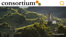 EcoLog: un progetto per la viabilità sostenibile nelle Colline di Conegliano e Valdobbiadene Patrimonio Unesco