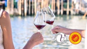 vini valpolicella