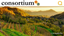 Patrimonio Unesco e Indicazioni Geografiche: l